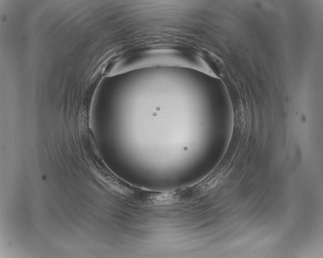 X0000068810092200605051156