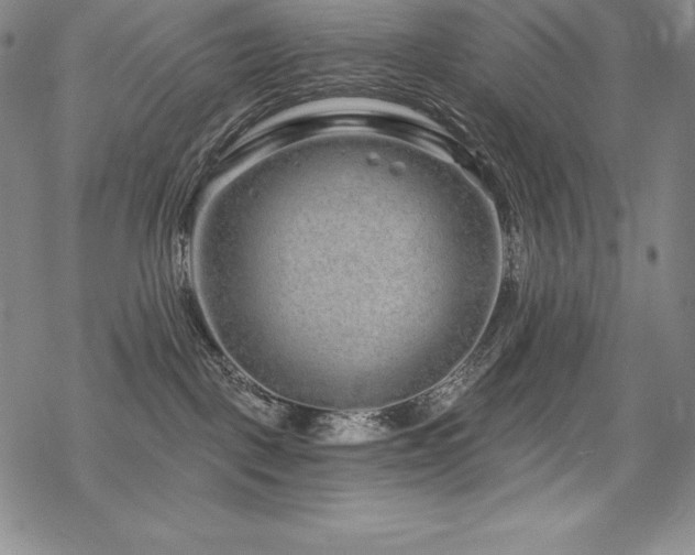 X0000068810093200605051156