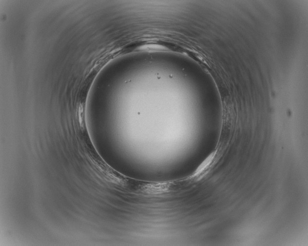 X0000068810094200605051156