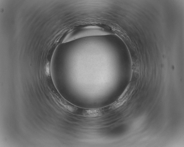 X0000068810095200605051156