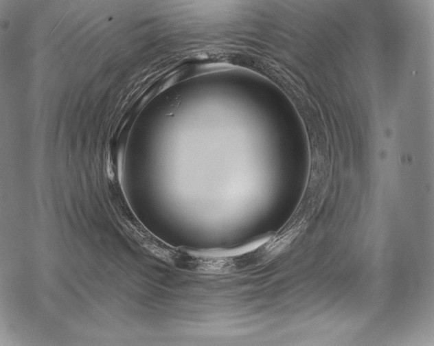 X0000068810096200605051156