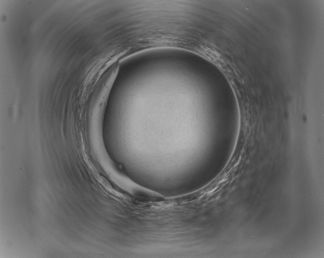 X0000068810097200605051155