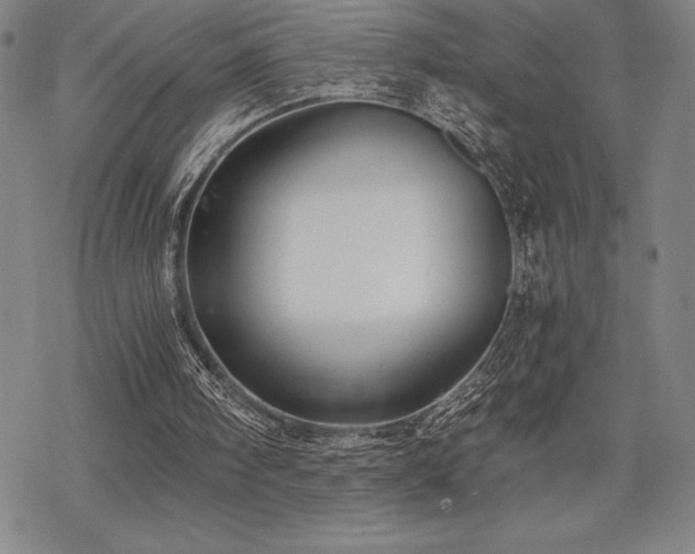 X0000068810098200605051155