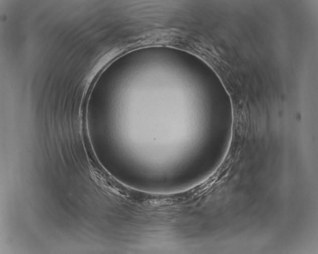 X0000068810100200605051155