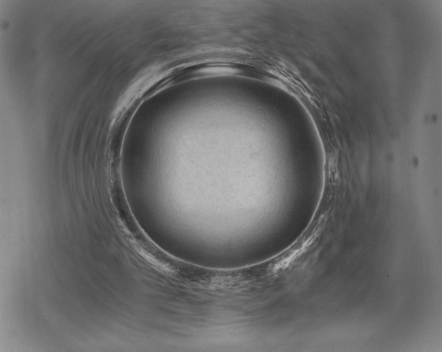 X0000068810101200605051155