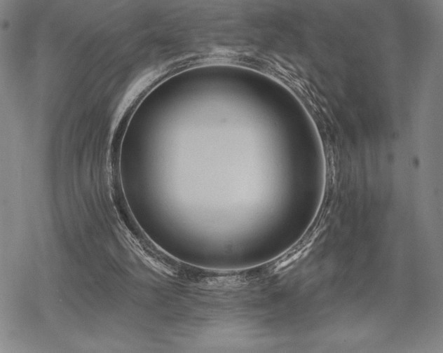 X0000068810102200605051155