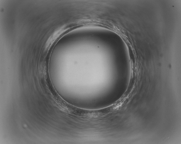 X0000068810103200605051155