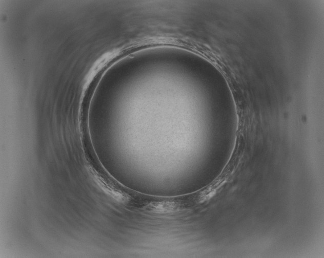 X0000068810104200605051155