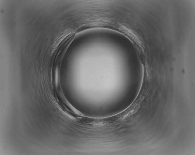 X0000068810105200605051155