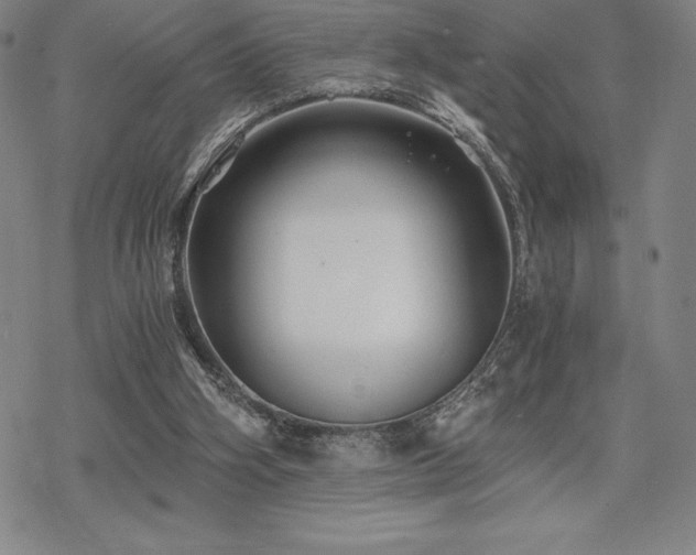 X0000068810106200605051155