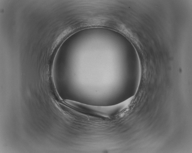 X0000068810107200605051155