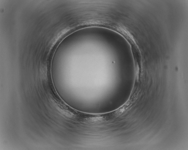 X0000068810108200605051155