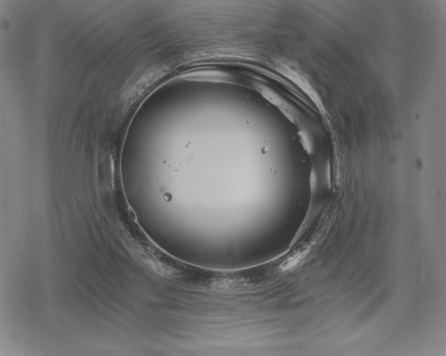 X0000068810109200605051155