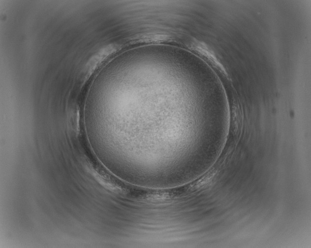 X0000068810110200605051155