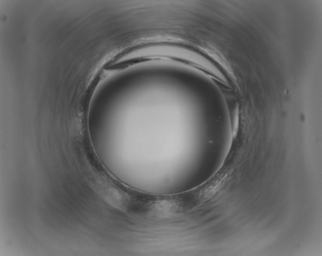 X0000068810111200605051155