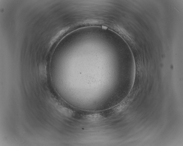 X0000068810112200605051155