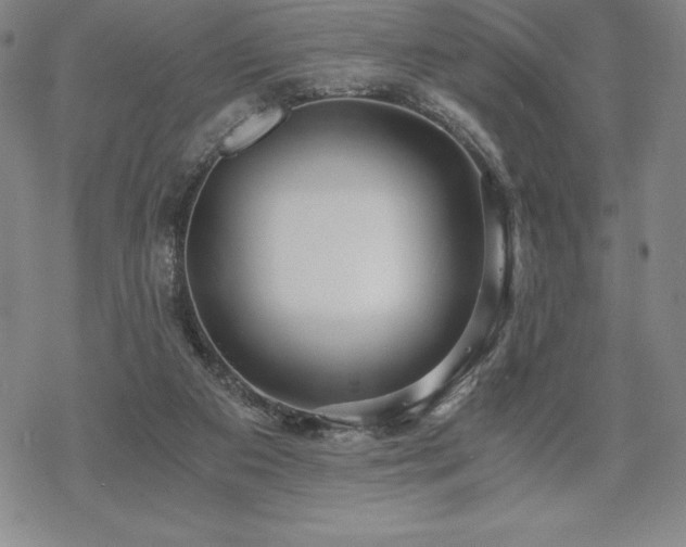 X0000068810113200605051155