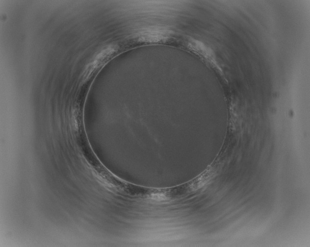 X0000068810114200605051155