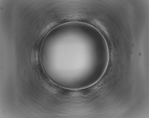 X0000068810115200605051155