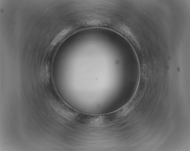 X0000068810116200605051155