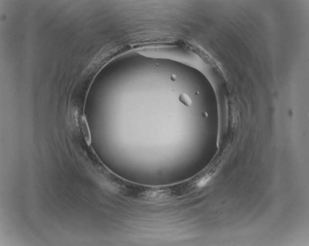 X0000068810117200605051155