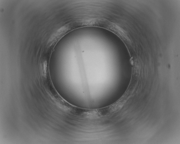 X0000068810118200605051155