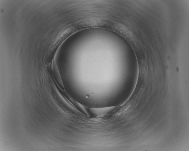 X0000068810119200605051155