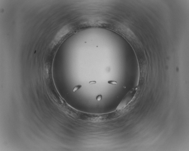 X0000068810120200605051155