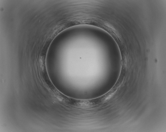 X0000068810121200605051155