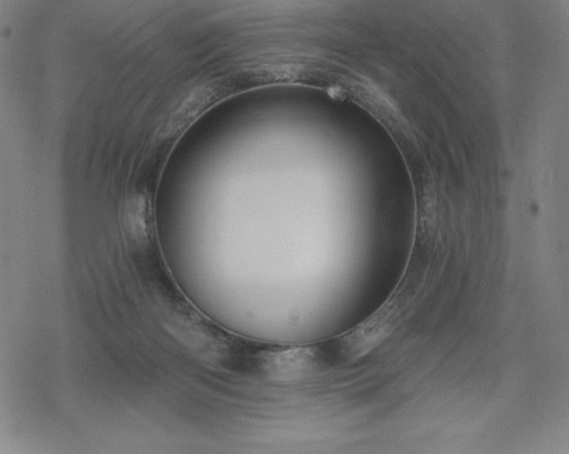 X0000068810122200605051155