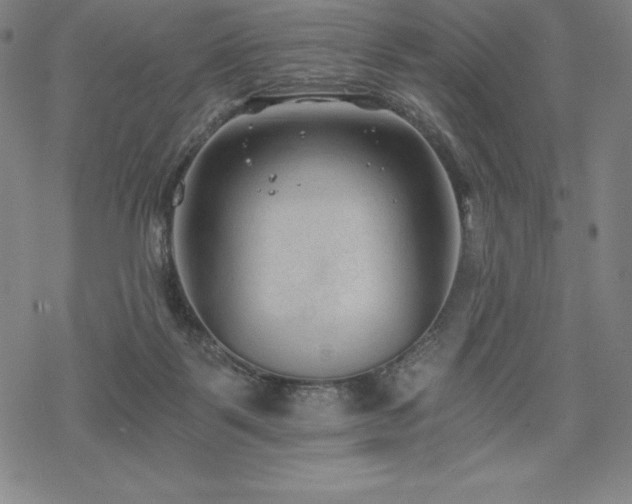 X0000068810123200605051155