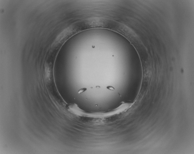 X0000068810124200605051155