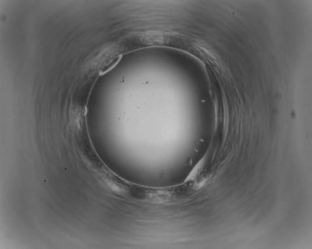 X0000068810125200605051155