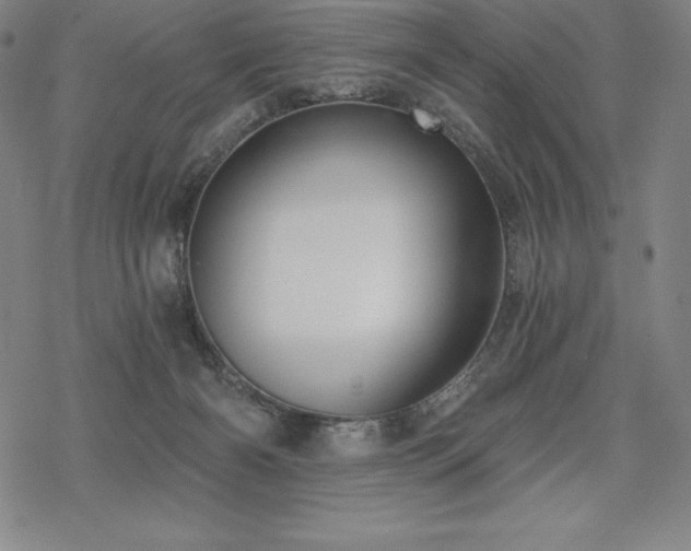 X0000068810126200605051155