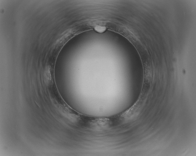 X0000068810128200605051155