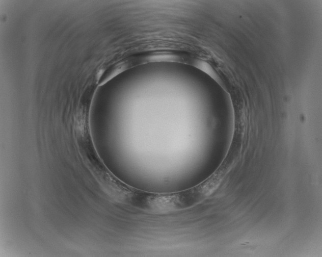 X0000068810129200605051155