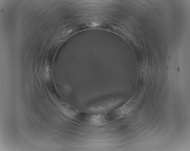 X0000068810130200605051155