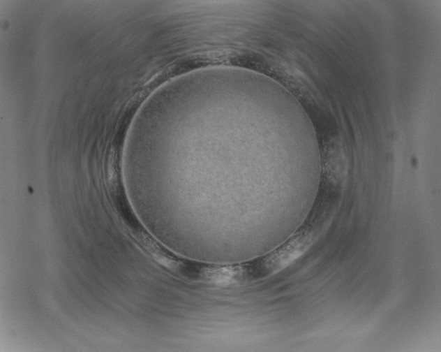 X0000068810131200605051155