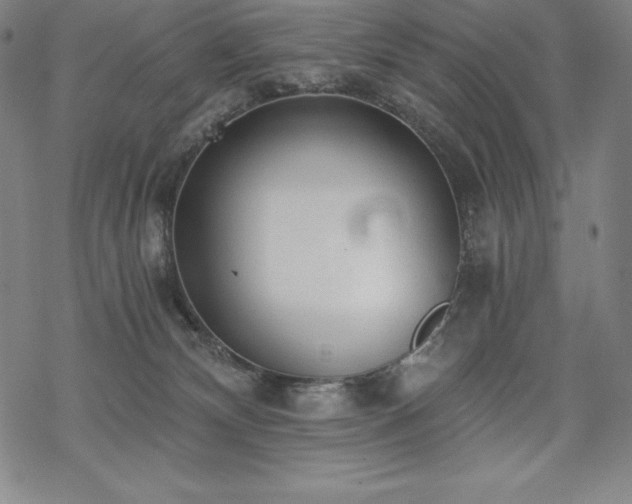 X0000068810132200605051154