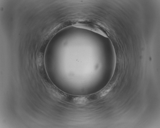 X0000068810133200605051154