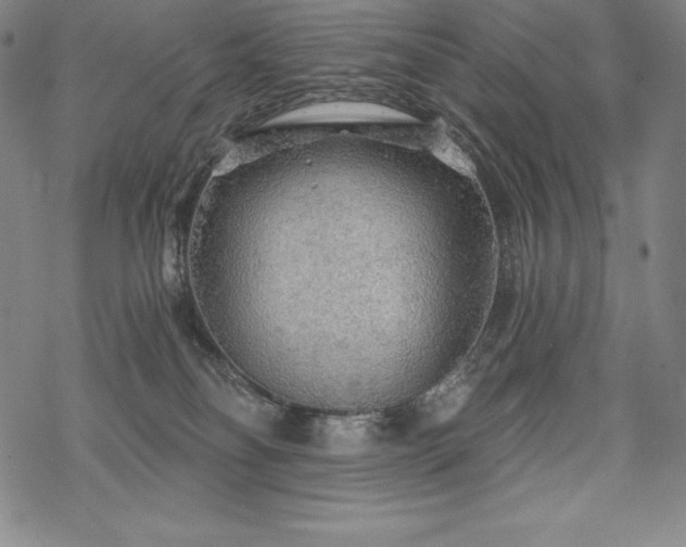 X0000068810134200605051154