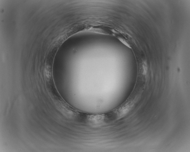 X0000068810135200605051154