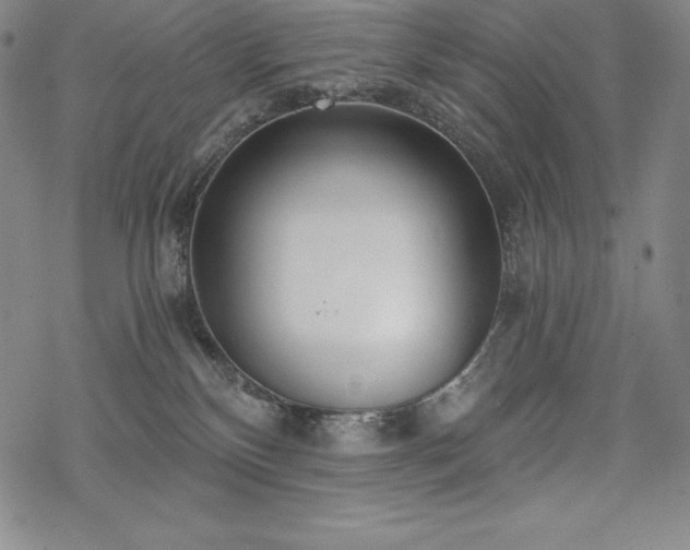 X0000068810136200605051154