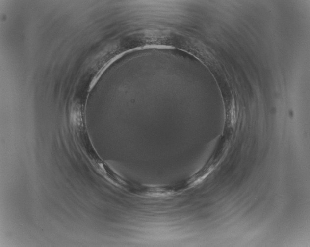 X0000068810137200605051154