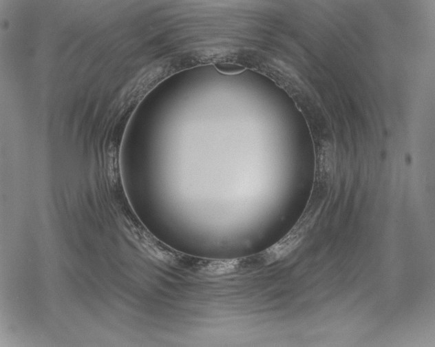 X0000068810138200605051154