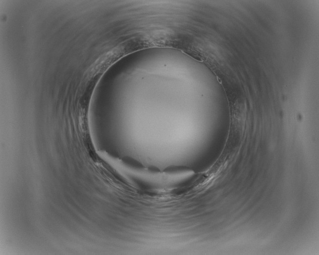 X0000068810139200605051154