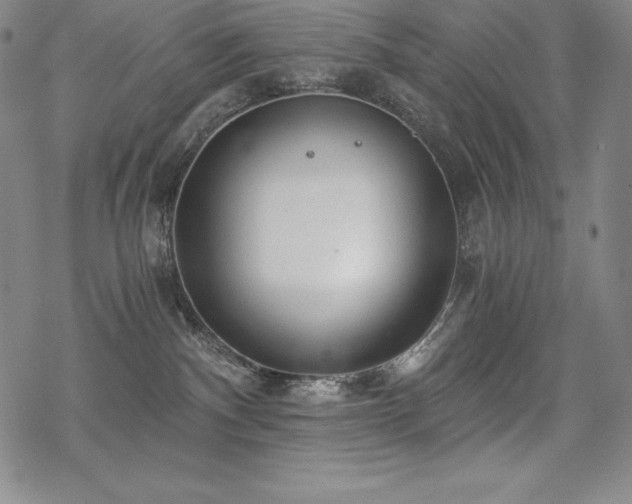 X0000068810140200605051154