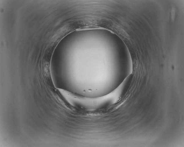 X0000068810141200605051154