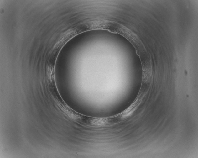 X0000068810142200605051154