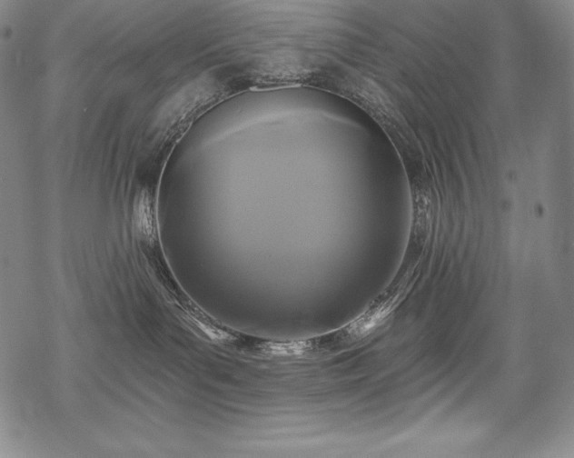 X0000068810143200605051154